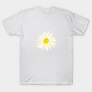 Daisy | Watercolor | Art | Pattern | White T-Shirt